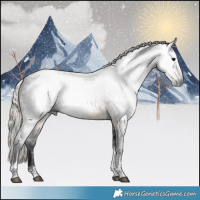 Horse Color:Gray Silver Smoky Black Tobiano 
