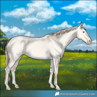 Horse Color:Perlino Dun Tobiano