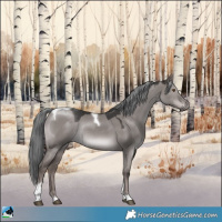 Horse Color:Platinum Liver Red Dun Mushroom Tobiano Rabicano