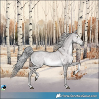 Horse Color:Platinum Chocolate Palomino Dun Mushroom Tobiano Rabicano