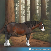 Horse Color:Brown Splash