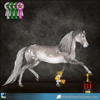 Horse Color:Platinum White Spotted Chocolate Palomino Mushroom Rabicano