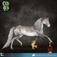 Horse Color:Platinum White Spotted Chocolate Palomino Mushroom Rabicano