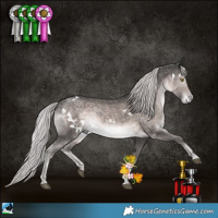 Horse Color:Platinum White Spotted Chocolate Palomino Mushroom Rabicano 