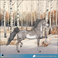 Horse Color:Platinum Liver Red Dun Mushroom Tobiano Rabicano 