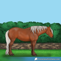 Horse Color:Silver Bay 
