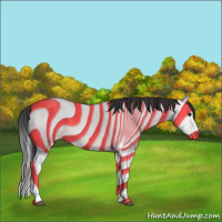Horse Color:Brown Splash 