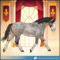 Horse Color:Buckskin Roan Splash 