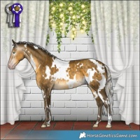 Horse Color:Gray White Spotted Silver Sable Cream Champagne 