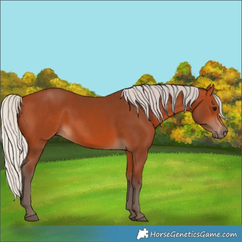 Horse Color:Silver Bay