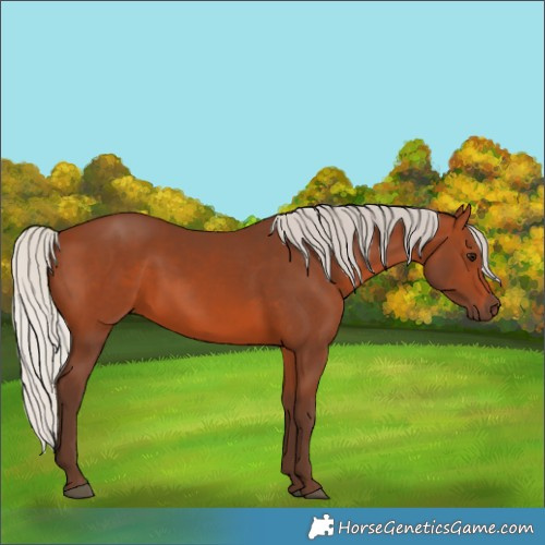 Horse Color:Silver Brown 
