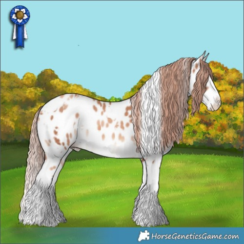 Horse Color:White Spotted Gold Champagne Splash Appaloosa 