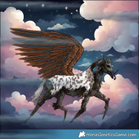 Horse Color:Silver Black Appaloosa Rabicano 