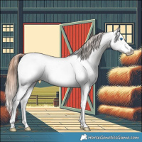 Horse Color:Classic Champagne Dun Splash Frame Appaloosa 