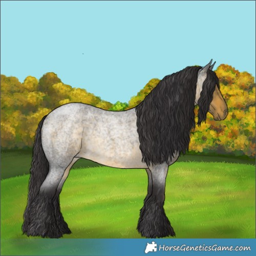 Horse Color:Buckskin Roan Rabicano 