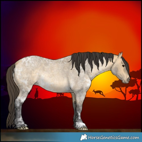 Horse Color:Buckskin Ice Roan 