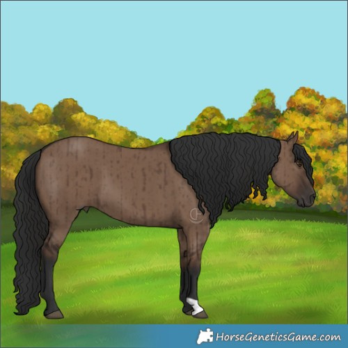Horse Color:Liver Red Dun Brindle 