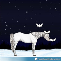 Horse Color:Brown Dun Near Fewspot and Silver Grullo Varnish