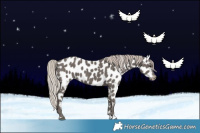 Horse Color:Silver Black Leopard