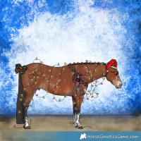Horse Color:Bay Sabino Rabicano  and Bay Sabino Rabicano 