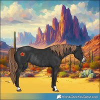 Horse Color:Gray Liver Chestnut Sabino Rabicano  and Gray Liver Chestnut Sabino Appaloosa Rabicano 