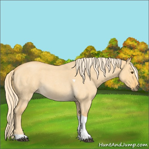 Horse Color:Palomino Roan Dun Tobiano 