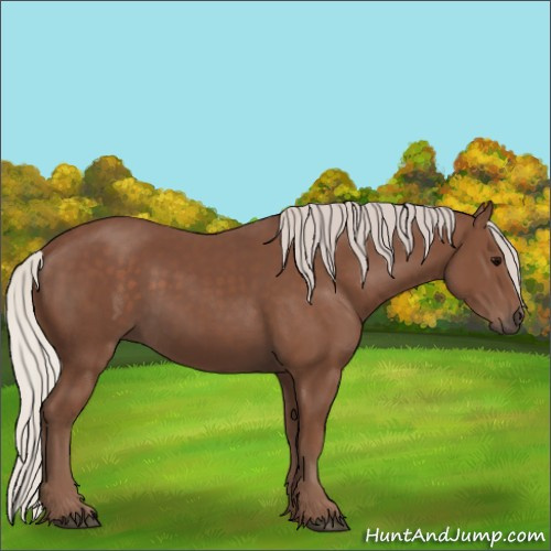 Horse Color:Silver Black 