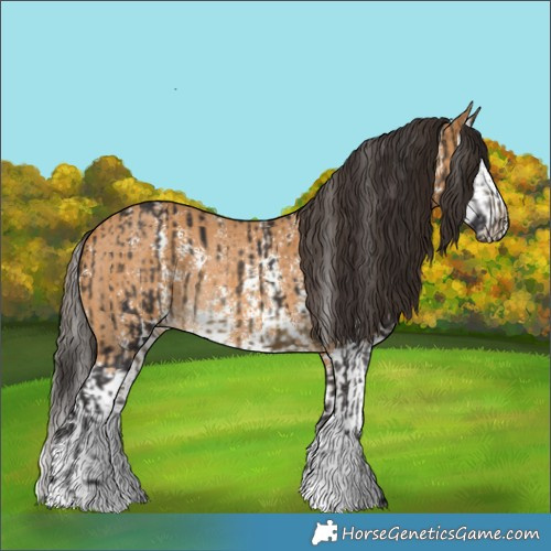 Horse Color:Buckskin Sabino Rabicano  and Buckskin Sabino Splash Rabicano 