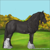 Horse Color:Smoky Black Tobiano 