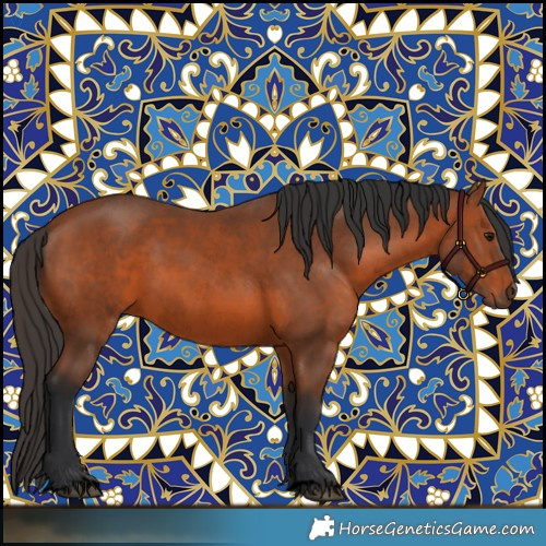 Horse Color:Void Bay