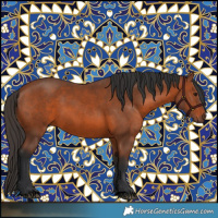 Horse Color:Void Bay 