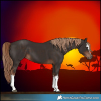 Horse Color:White Spotted Liver Chestnut 