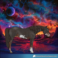 Horse Color:Liver Chestnut Sabino Rabicano and Liver Chestnut Sabino Frame Rabicano