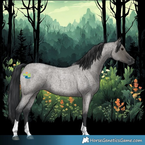 Horse Color:Grullo Roan Tobiano 