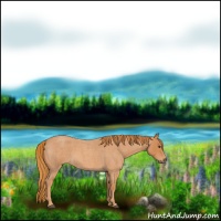 Horse Color:Red Roan 