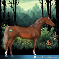Horse Color:Chestnut Tobiano Rabicano 
