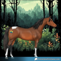 Horse Color:Bay Tobiano Rabicano 