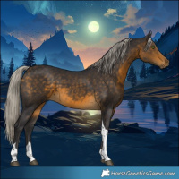 Horse Color:Silver Buckskin Tobiano