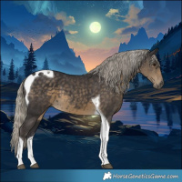 Horse Color:Silver Smoky Black Tobiano 