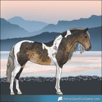 Horse Color:Silver Smoky Black Tobiano 