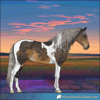 Horse Color:Silver Smoky Black Tobiano 