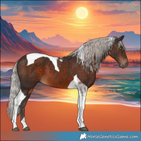 Horse Color:Silver Brown Tobiano 