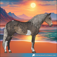 Horse Color:Silver Smoky Black Tobiano 