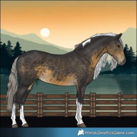 Horse Color:Silver Smoky Black Tobiano 
