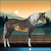 Horse Color:Silver Smoky Black Tobiano 