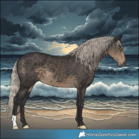 Horse Color:Silver Smoky Black 