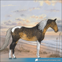 Horse Color:Silver Buckskin Tobiano