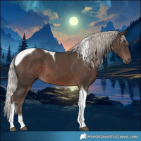 Horse Color:Silver Black Tobiano