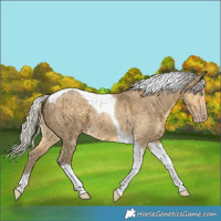 Horse Color:Silver Classic Cream Champagne Dun Tobiano Brindle