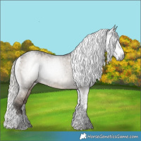 Horse Color:Gray Silver Grullo Splash Tobiano Rabicano Brindle 